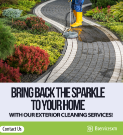 B Services