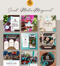 Equipex Digital Marketing Agency
