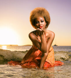 Digital Gumbs Photography